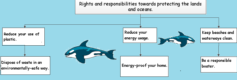 Digital Literacy project by a grade 3 student